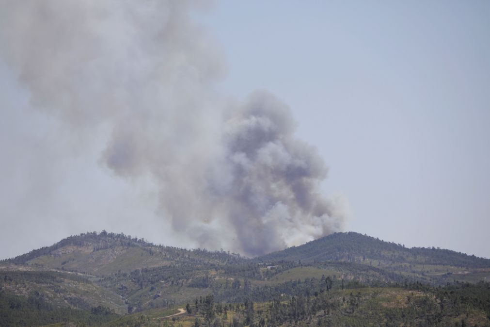 Mais de 70 concelhos de 11 distritos em perigo máximo de incêndio