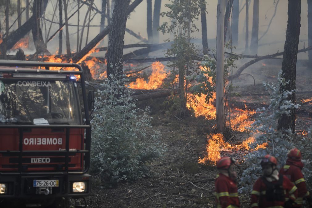 Incêndios provocaram 21 feridos ligeiros e um grave desde quinta-feira