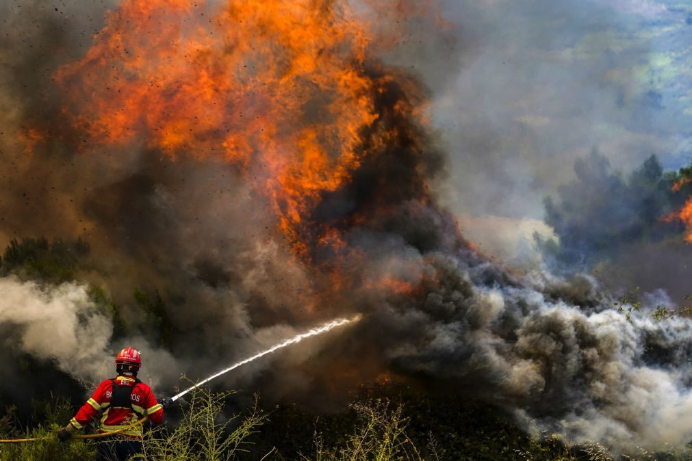 Bombeiros profissionais pedem aumentos salariais e subsídio de risco