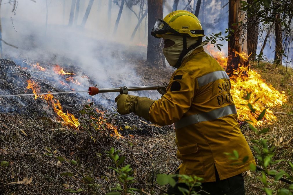 Mais de 80 concelhos de 10 distritos em perigo máximo de incêndio rural