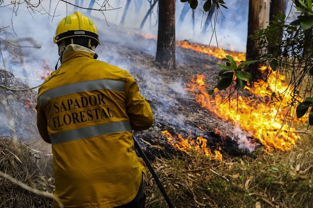 Proteção Civil com quatro fogos de maior preocupação às 12:00