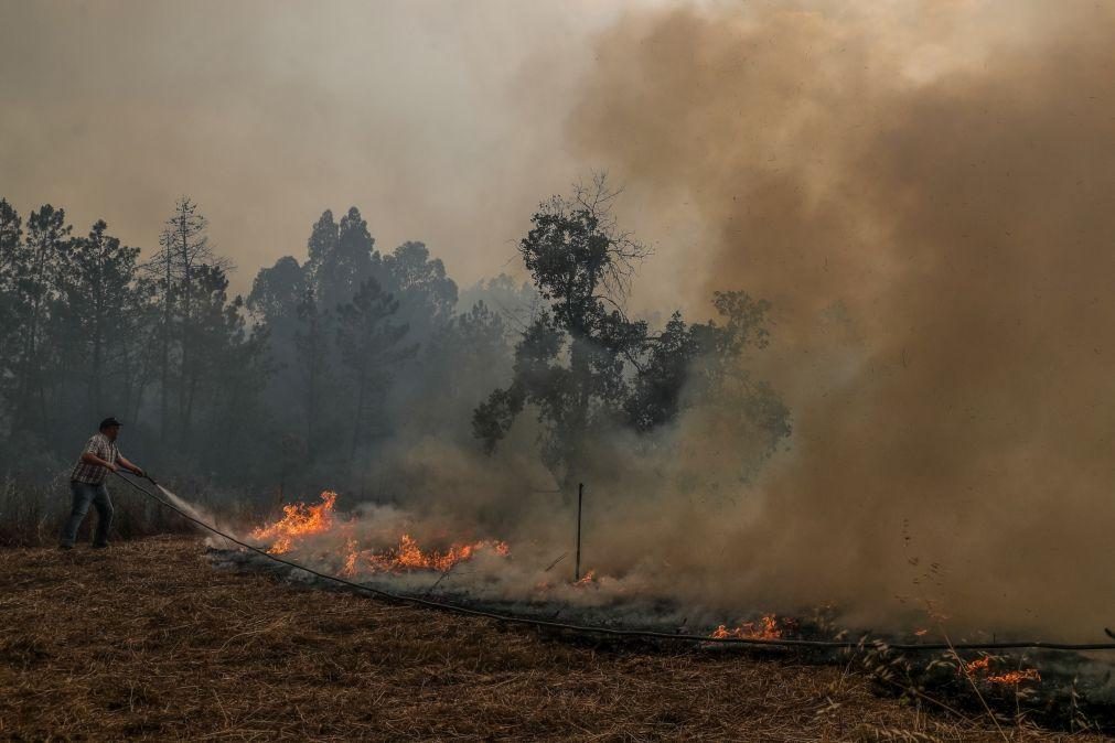 Constituído arguido suspeito de originar fogo em Celorico da Beira