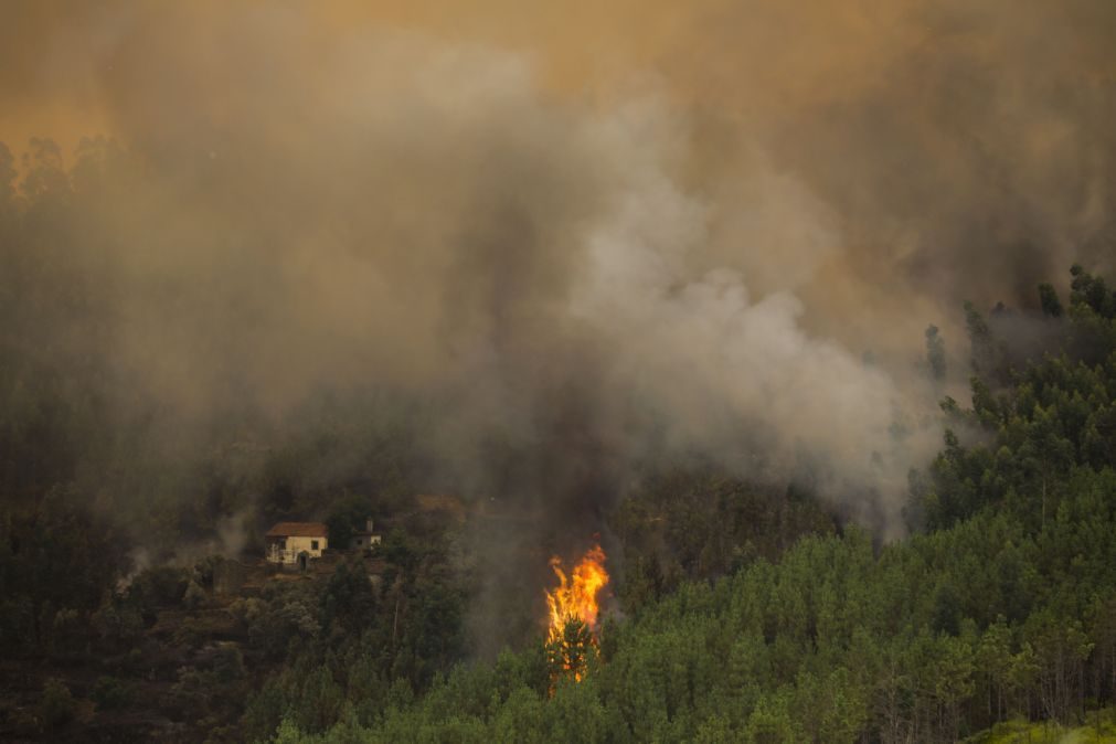 Fogo que começou em Murça consumiu mais de 10 mil hectares