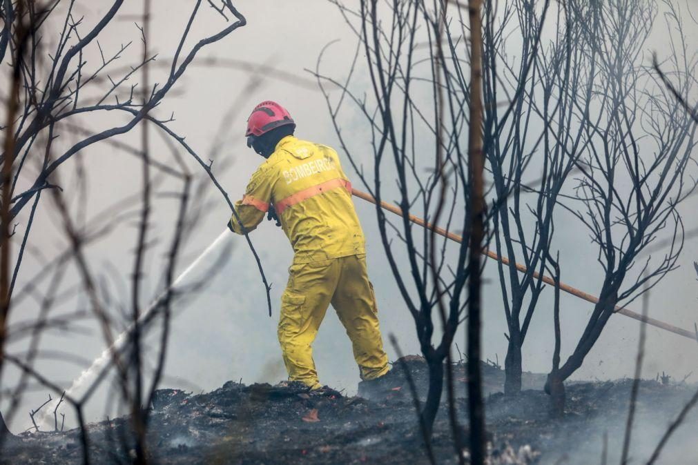 Incêndios no distrito de Vila Real em fase de resolução e vigilância