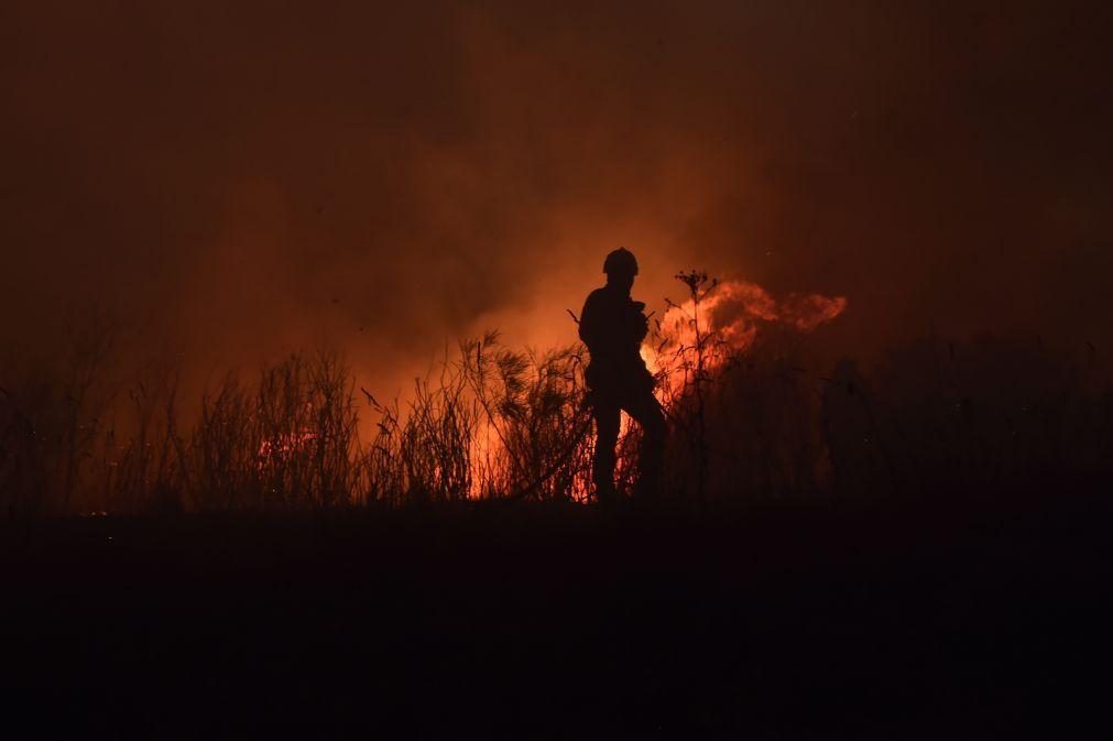 Cerca de 80 concelhos do interior Norte, Centro e Alto Alentejo em risco máximo de incêndio