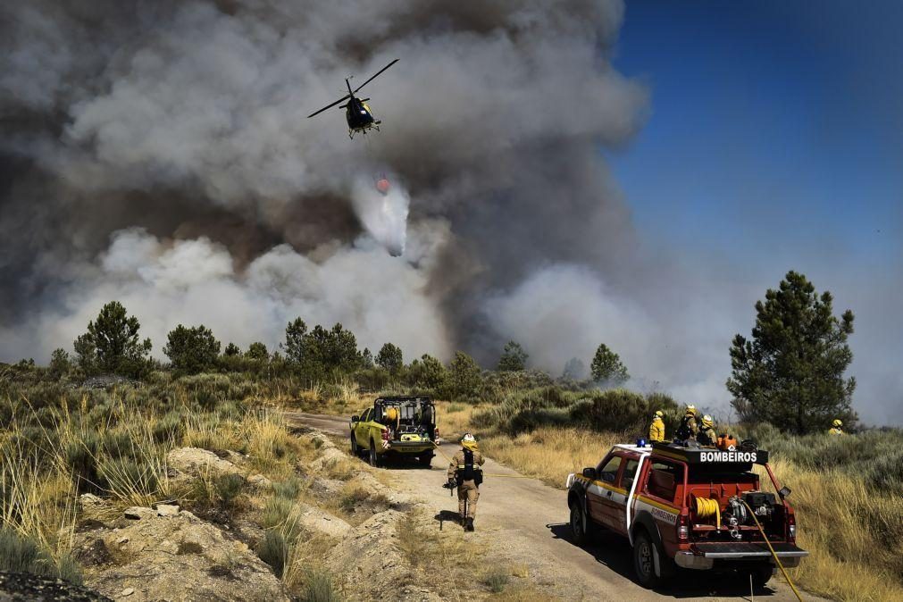 Incêndios: Governo decreta situação de alerta entre domingo e terça-feira