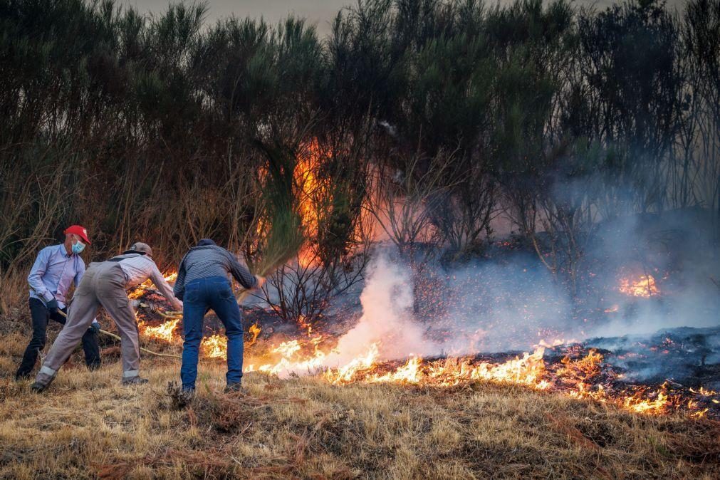 Vários reacendimentos marcaram combate ao fogo em Vila Real