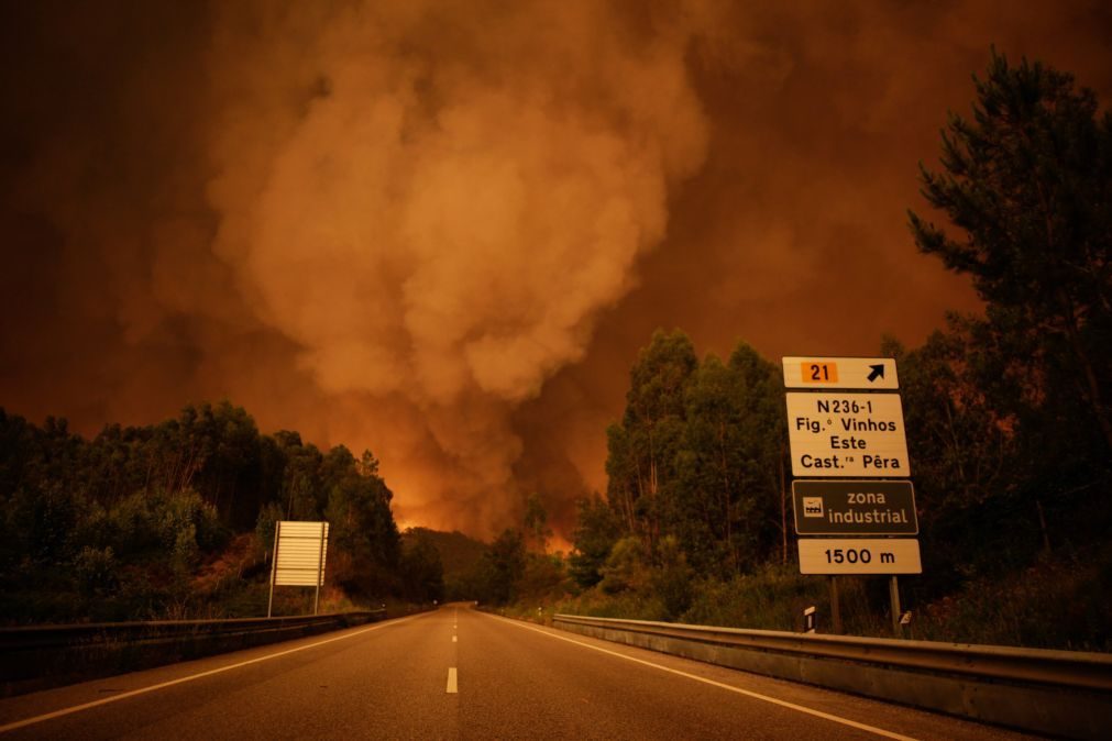 Época mais crítica de incêndios termina com maior área ardida da última década e 64 mortos