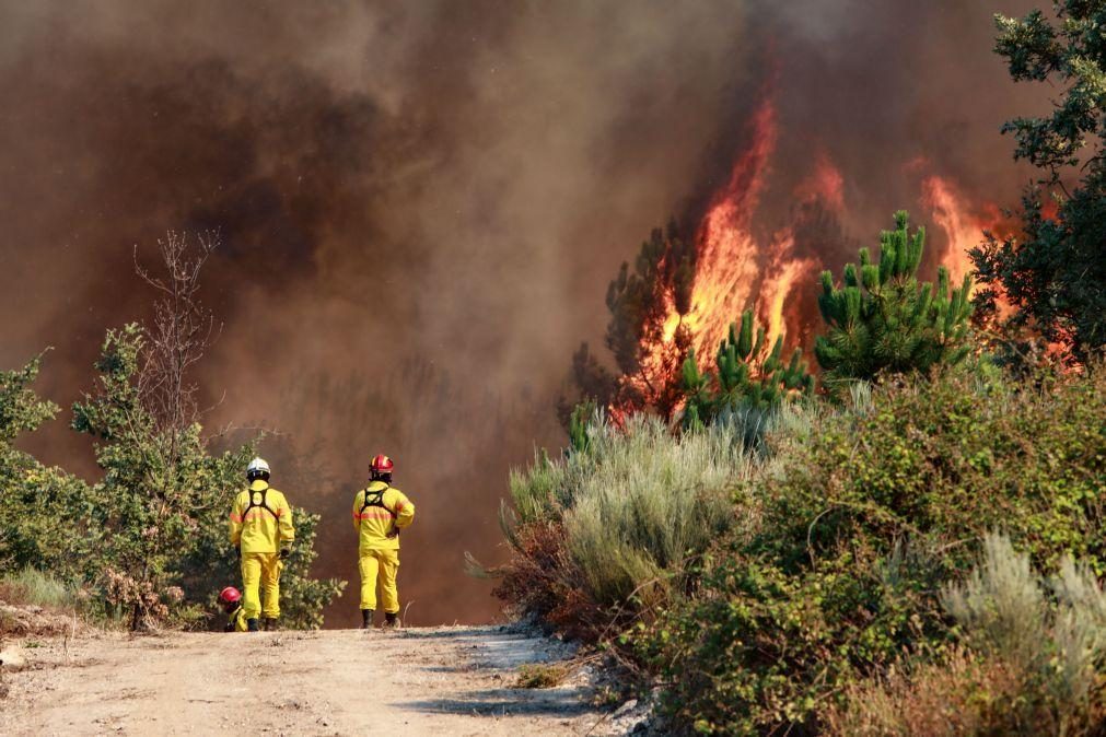 Mais de 20 concelhos de seis distritos em perigo máximo de incêndio