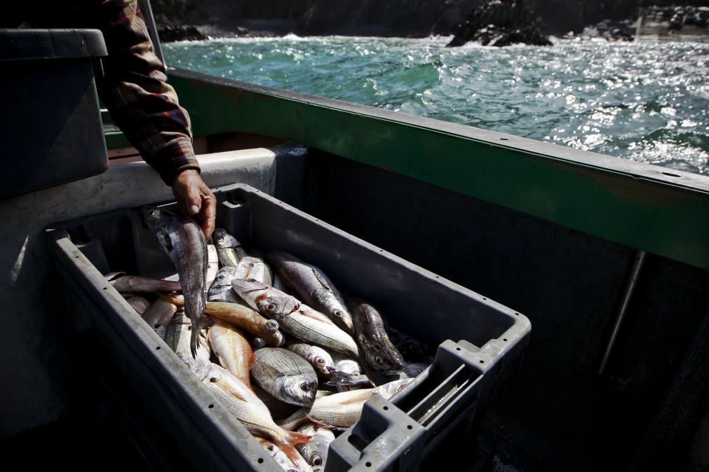 Malaui e Moçambique averiguam incidente com pescadores em lago dividido pelos dois países