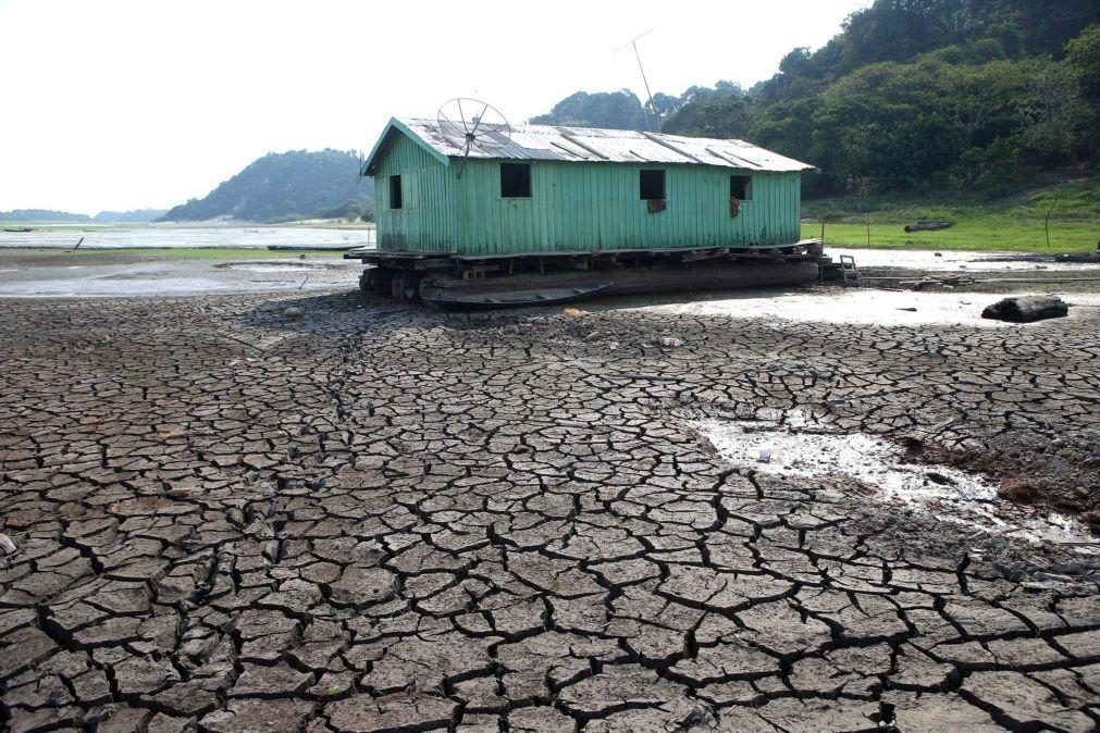 Amazónia brasileira sofre com a pior seca em décadas