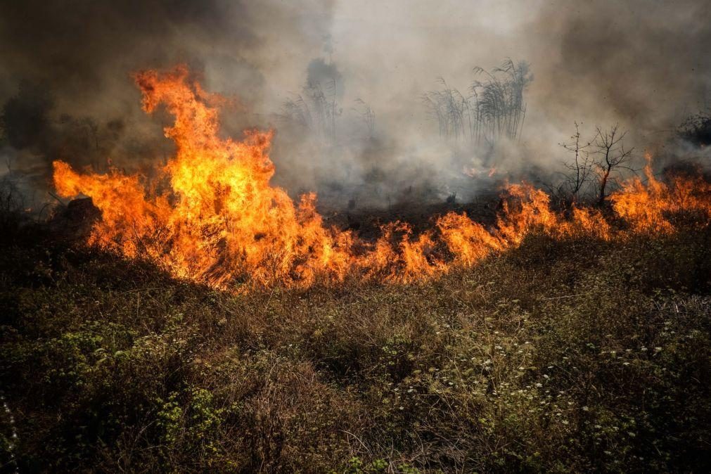 Engenheiro eletrotécnico condenado a 25 anos de prisão por atear 16 incêndios