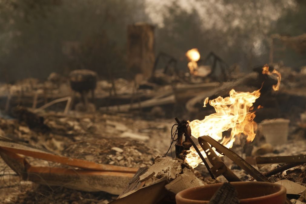 Sobe para 31 número de mortos nos incêndios na Califórnia