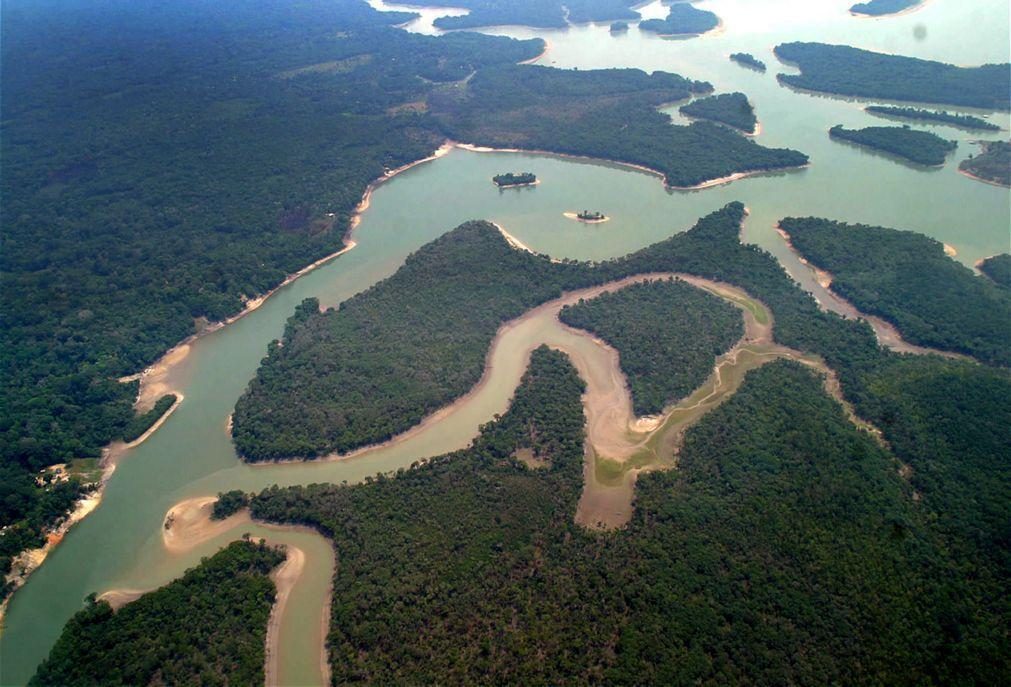 Brasil registou quinto recorde anual seguido de destruição na Amazónia em 2022