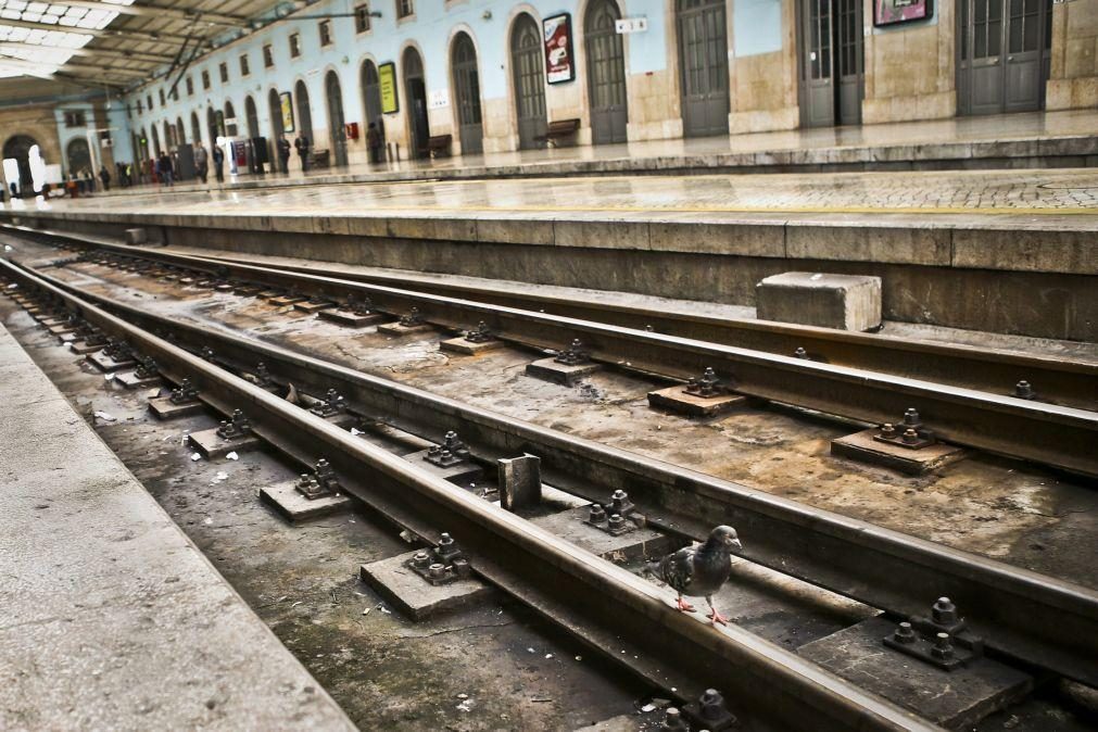 Greve dos maquinistas da CP com adesão total até às 07:00