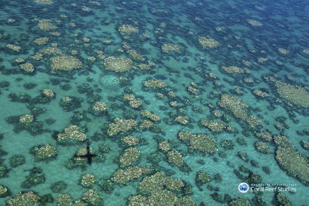 Austrália rejeita mina de carvão a céu aberto perto da Grande Barreira de Coral