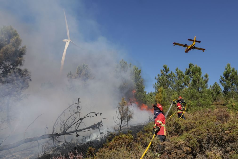 Última hora: Cinco meios aéreos combatem fogos no Coimbrão, Leiria