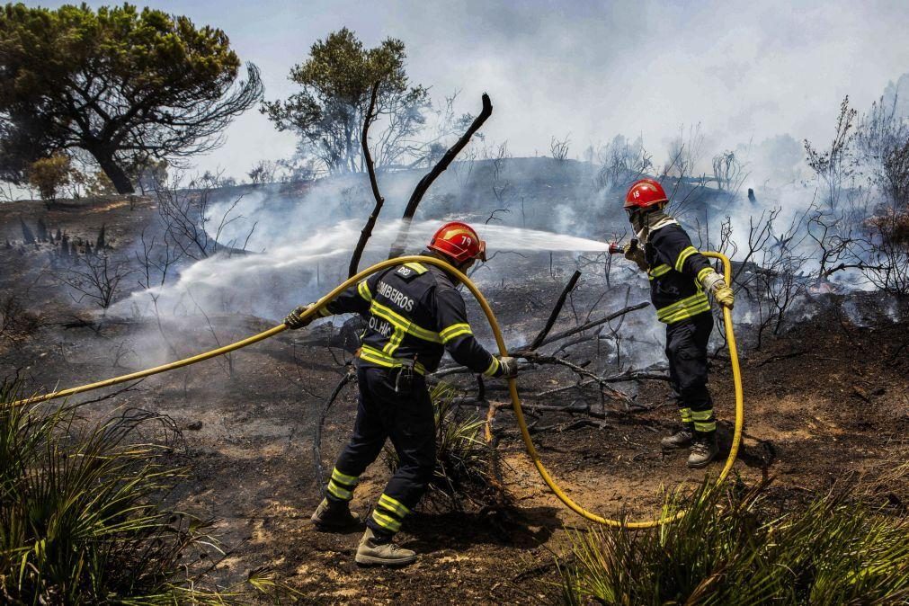 Atenção ao risco elevado de incêndio nestes 3 concelhos do Continente