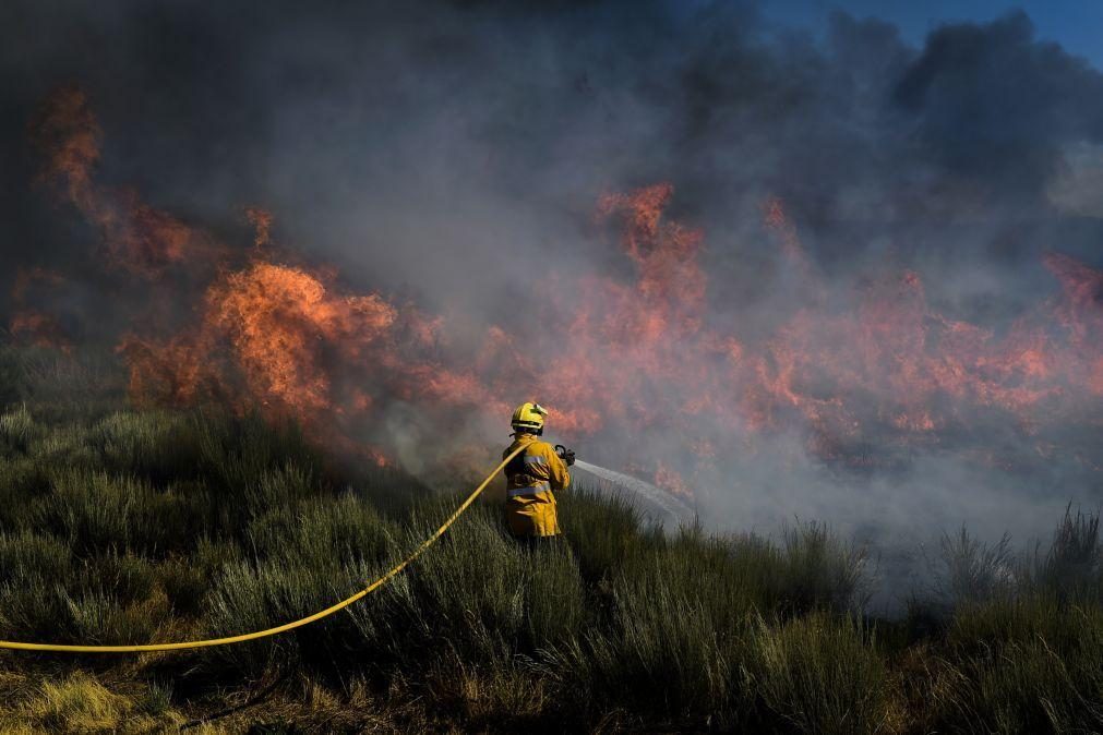 7 concelhos do distrito de Faro em perigo muito elevado de incêndio