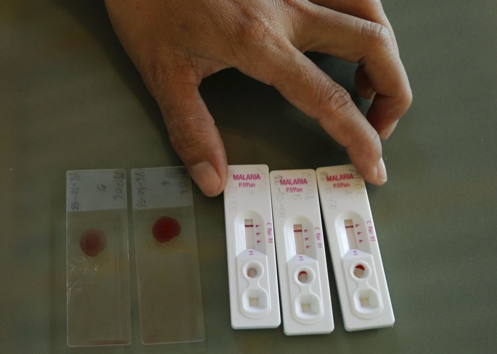 Cabo Verde com 425 casos de paludismo desde o início do ano