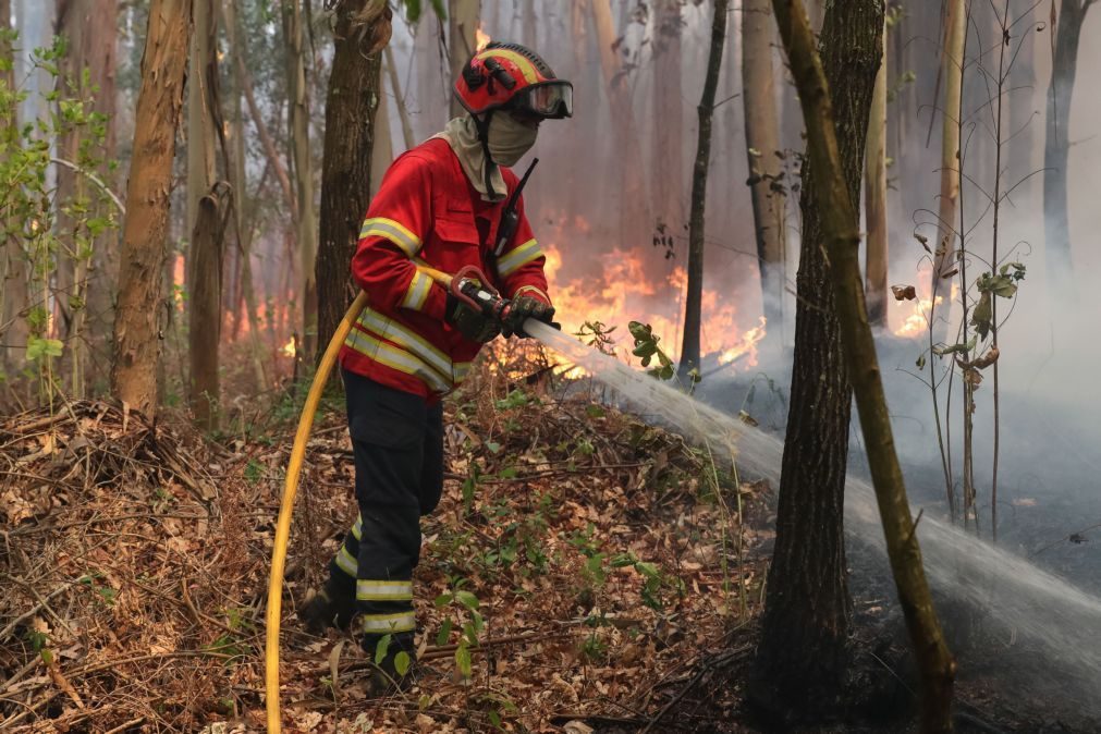 Mais de 300 operacionais e 10 meios aéreos combatem fogo na Serra do Montejunto