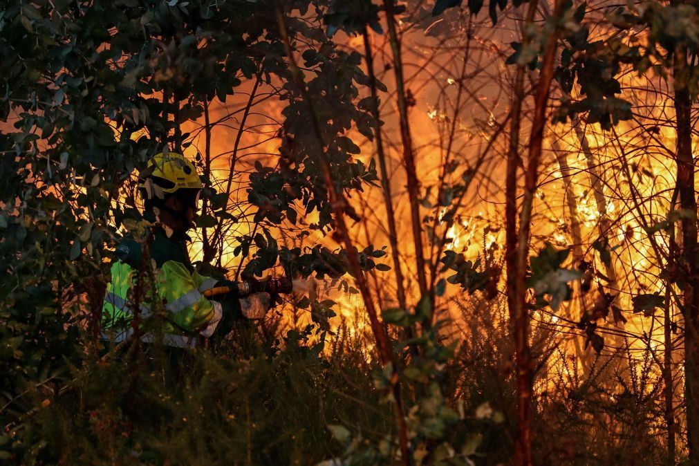 Mais de 20 concelhos de quatro distritos em perigo máximo de incêndio