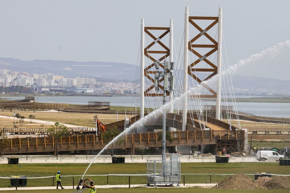 JMJ: Governo, Lisboa e Loures já celebraram contratos de mais de 36 ME