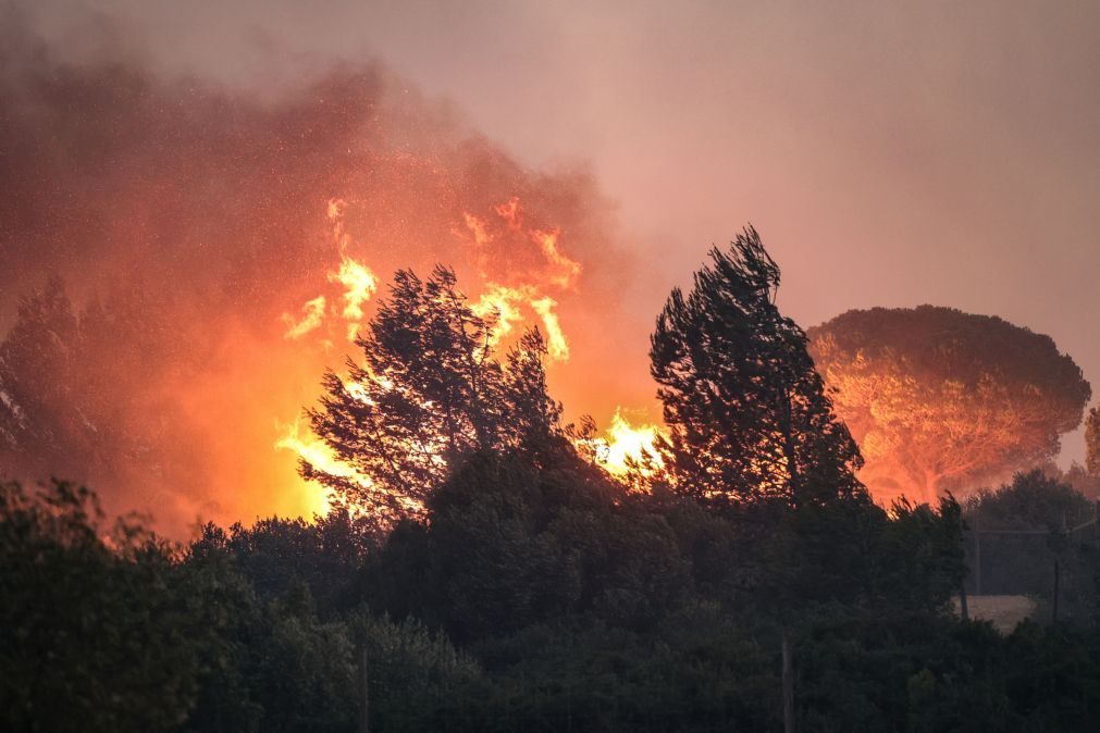 Cerca de 60 concelhos de oito distritos em perigo máximo de incêndio