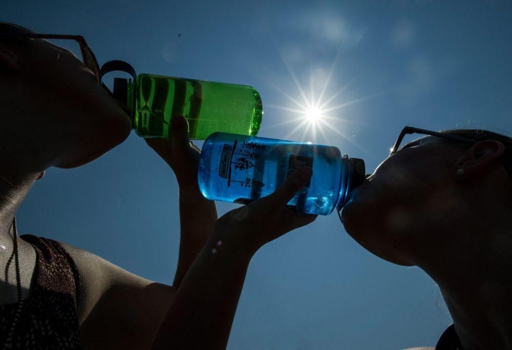 Aviso vermelho em Bragança, Castelo Branco e Guarda por causa do calor