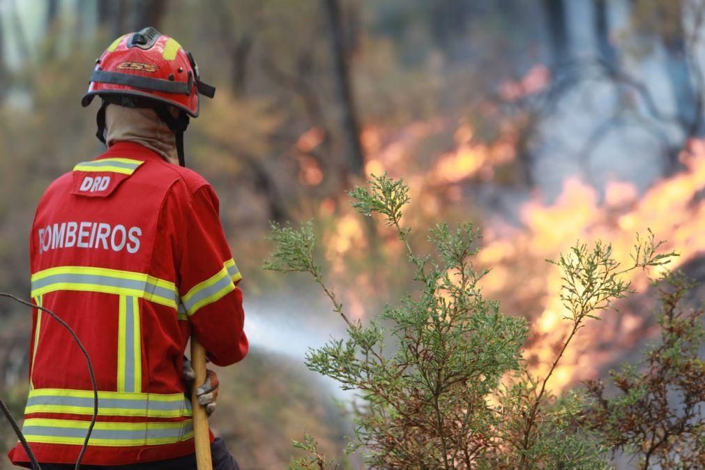 Incêndio no Arrabal, em Leiria, em resolução mas tarde pode ser complicada