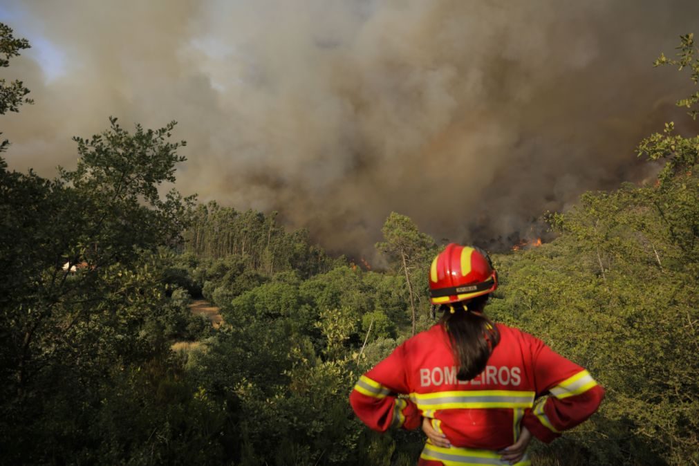 Incêndio dominado em Vila do Conde