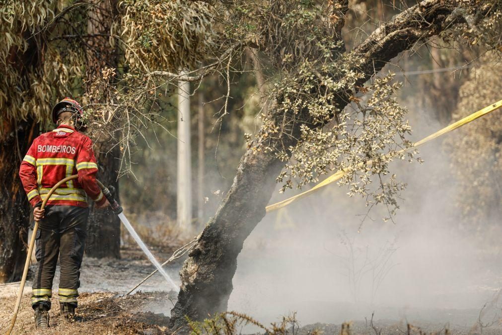 Incêndio de Odemira em fase de resolução