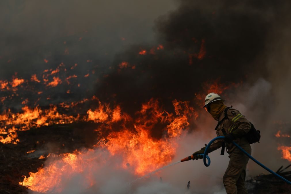 PJ detém suspeito de dez fogos florestais em Vila Nova de Paiva