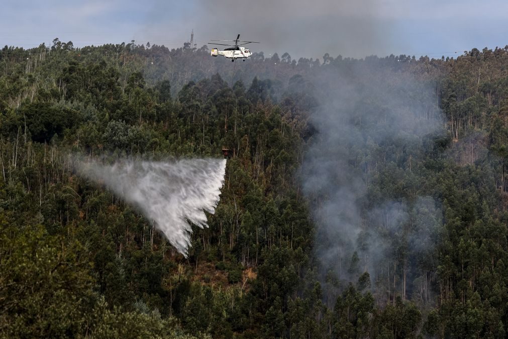 Frente de fogo em Coimbra na zona da EN 17 é a que mais preocupa