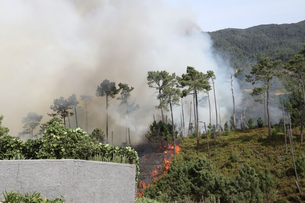 Bombeiros resgatam 13 turistas retidos pelo fogo numa levada no Porto Moniz