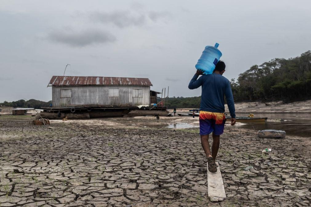 Seca afeta resiliência da floresta e expõe perigo do ponto de não retorno na Amazónia