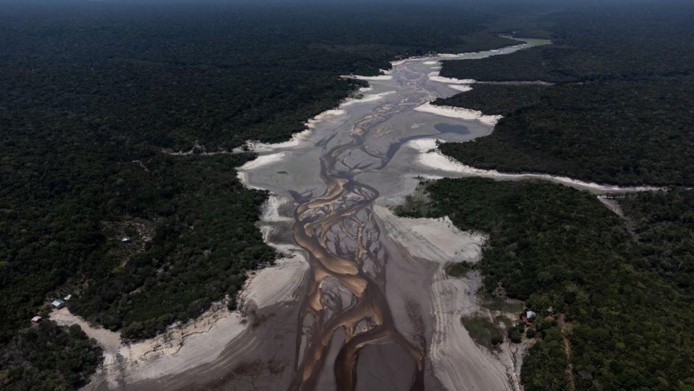 Fenómenos climáticos e desflorestamento provocam seca dramática na Amazónia brasileira - especialistas