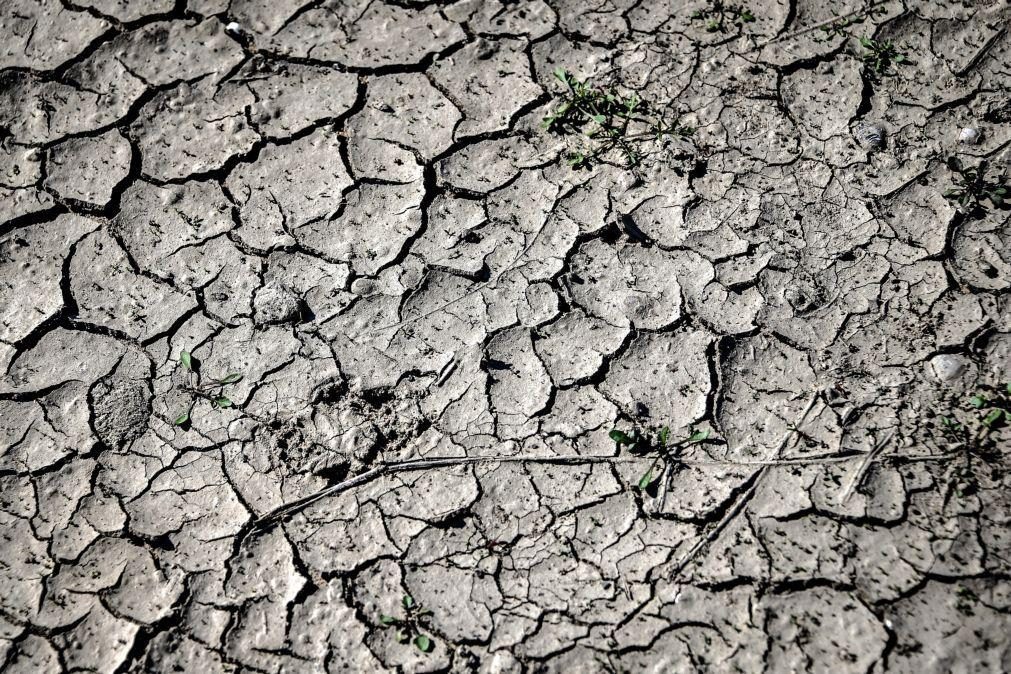 Agricultores enfrentam restrições de água devido à seca no Iraque