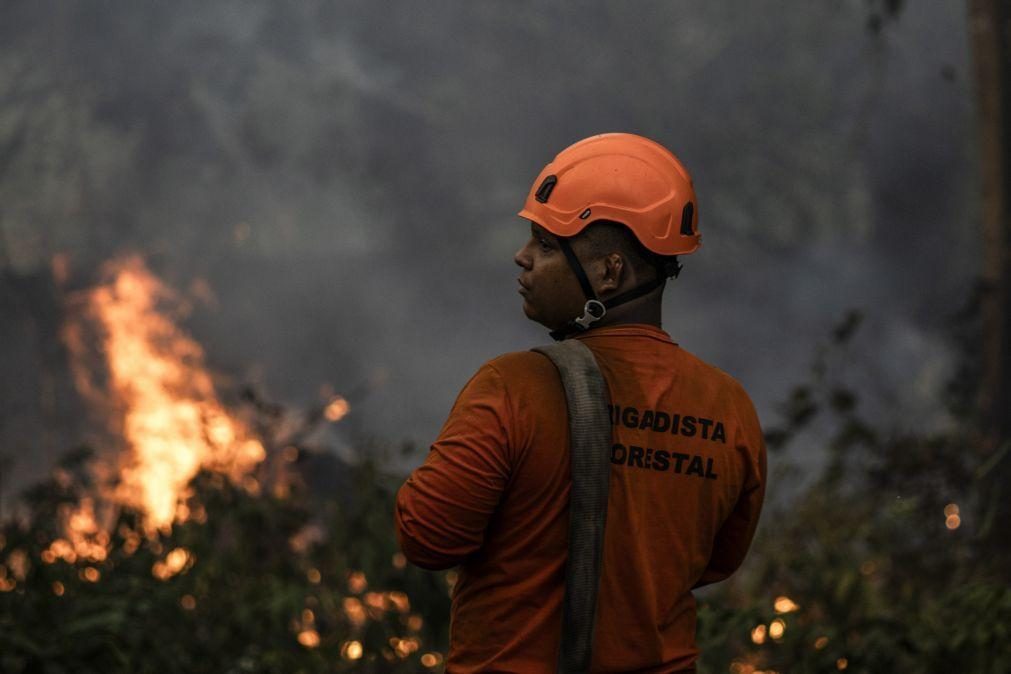 Amazónia brasileira registou em novembro o maior número de incêndios em seis anos