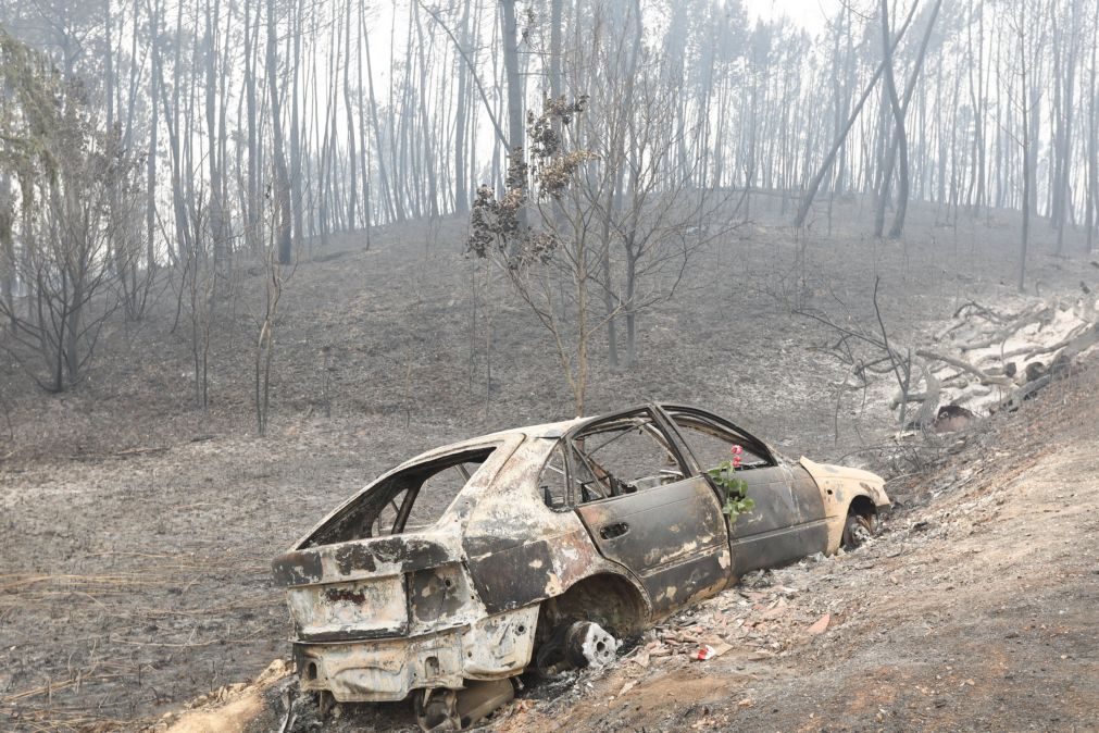 Costa entrega à provedora da Justiça todo o relatório sobre mortes no incêndio de Pedrógão Grande