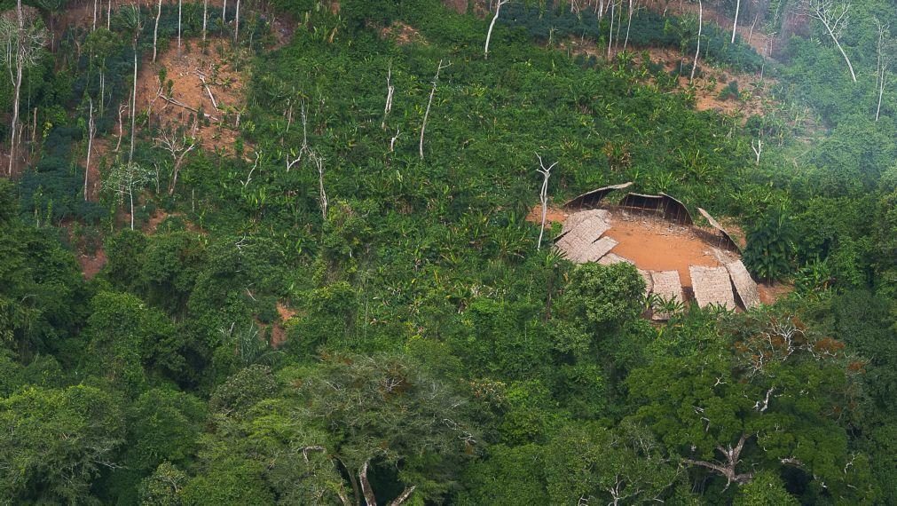 Governo brasileiro investe 220 ME para segurança permanente do território Yanomami