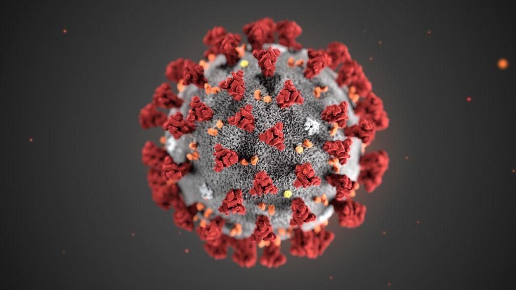 Covid-19: Investigadores portugueses estão a desenvolver medicamento antiviral de largo espetro