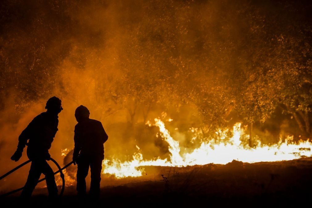 Mais operacionais no combate aos incêndios e menos meios aéreos para este ano