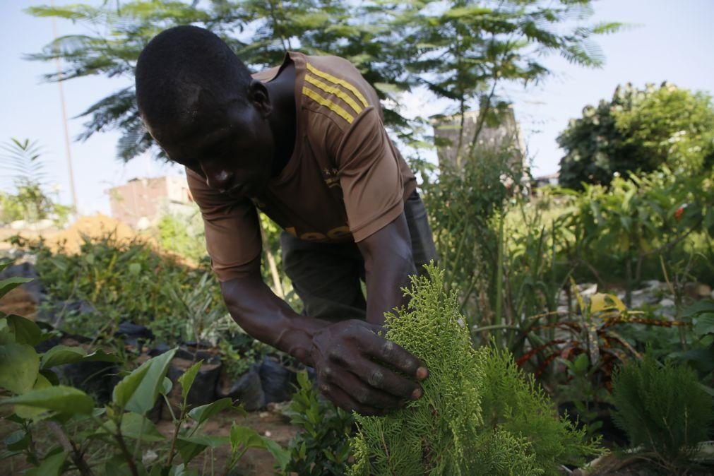 Angola aprova programa para apoiar agricultura familiar e reforçar segurança alimentar