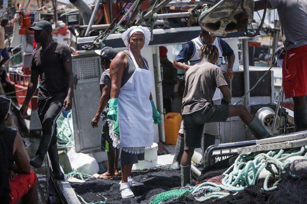 Cabo Verde celebra o primeiro Dia das Peixeiras reconhecendo muito sacrifício