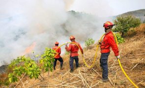 Dois concelhos de Faro em perigo máximo de incêndio
