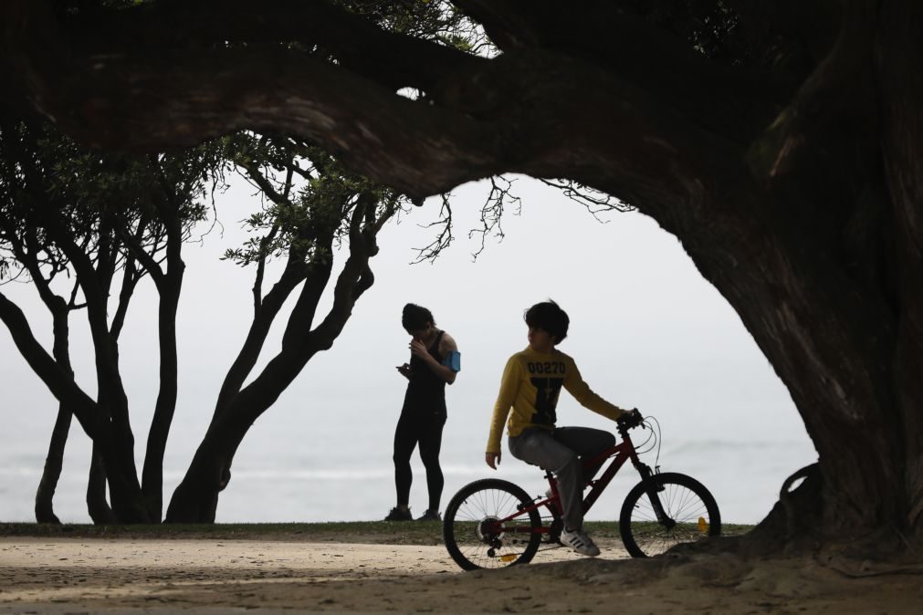 Quatro países juntam-se para criar parques urbanos 'lixo zero'