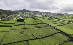 Mau tempo provoca 44 ocorrências na Terceira, São Miguel e Pico