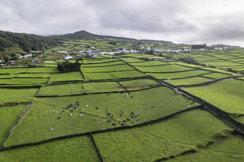 Mau tempo provoca 44 ocorrências na Terceira, São Miguel e Pico