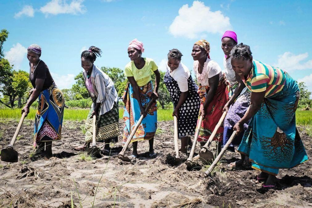 Moçambique acrescentado à lista de focos de fome em relatório da ONU